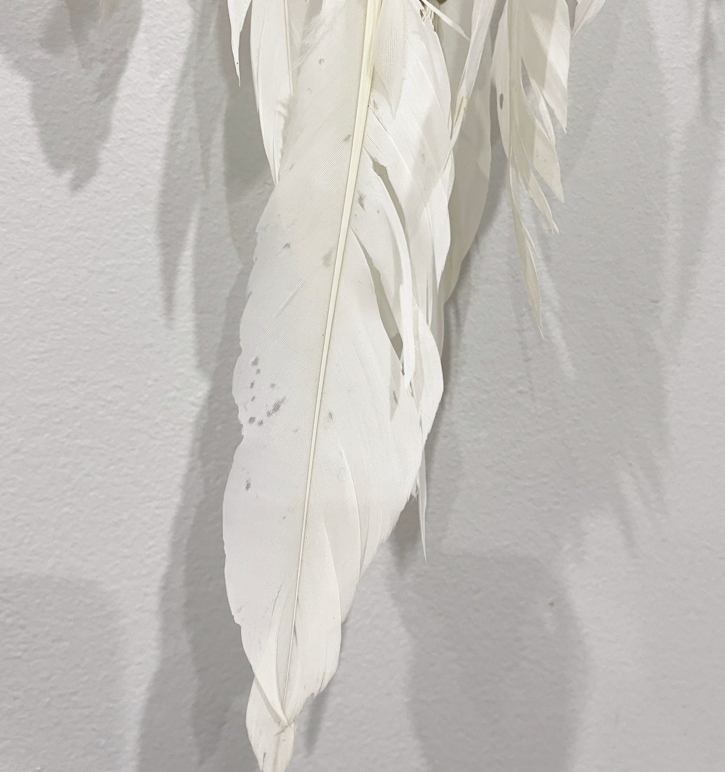 Dream Catcher Brown SECONDS