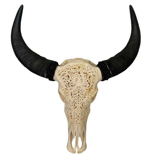 Carved Buffalo Lace Skull