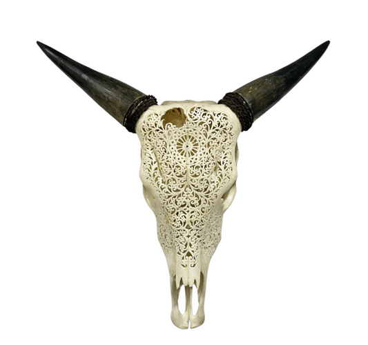 Carved Cow Lace Skull SECONDS