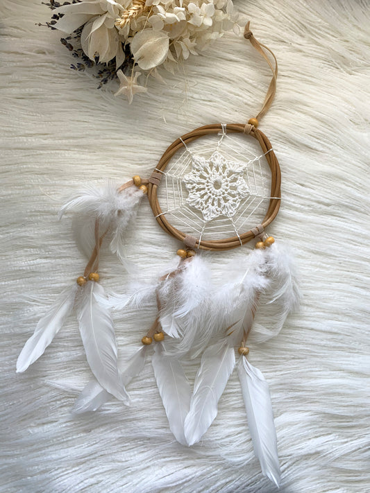 Dream Catcher Web