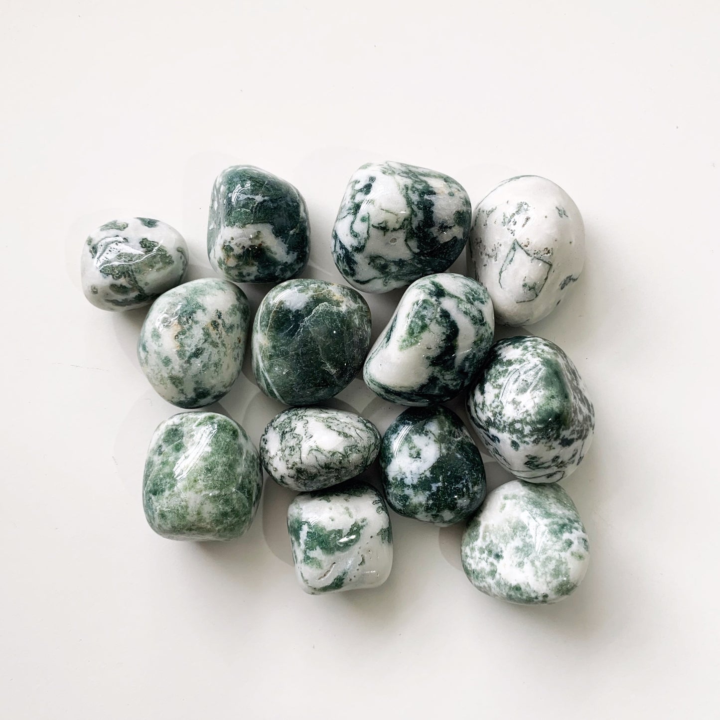 Tree Agate is a stone of inner peace. Gentle Tree Agate calms nerves, and can be combined with Clear Quartz to deepen meditation and prayer. ... Tree Agate is a healer of geopathic stress; by emitting its calming and centering energies into the environment.   Listing 1 stone.