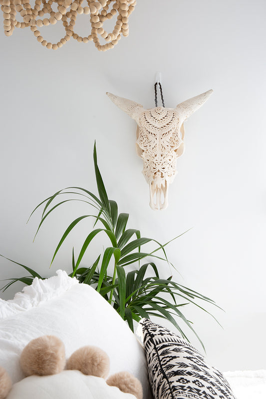 Cow Lace Skull White Horns