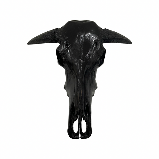 Cow Lace Skull Black Gloss