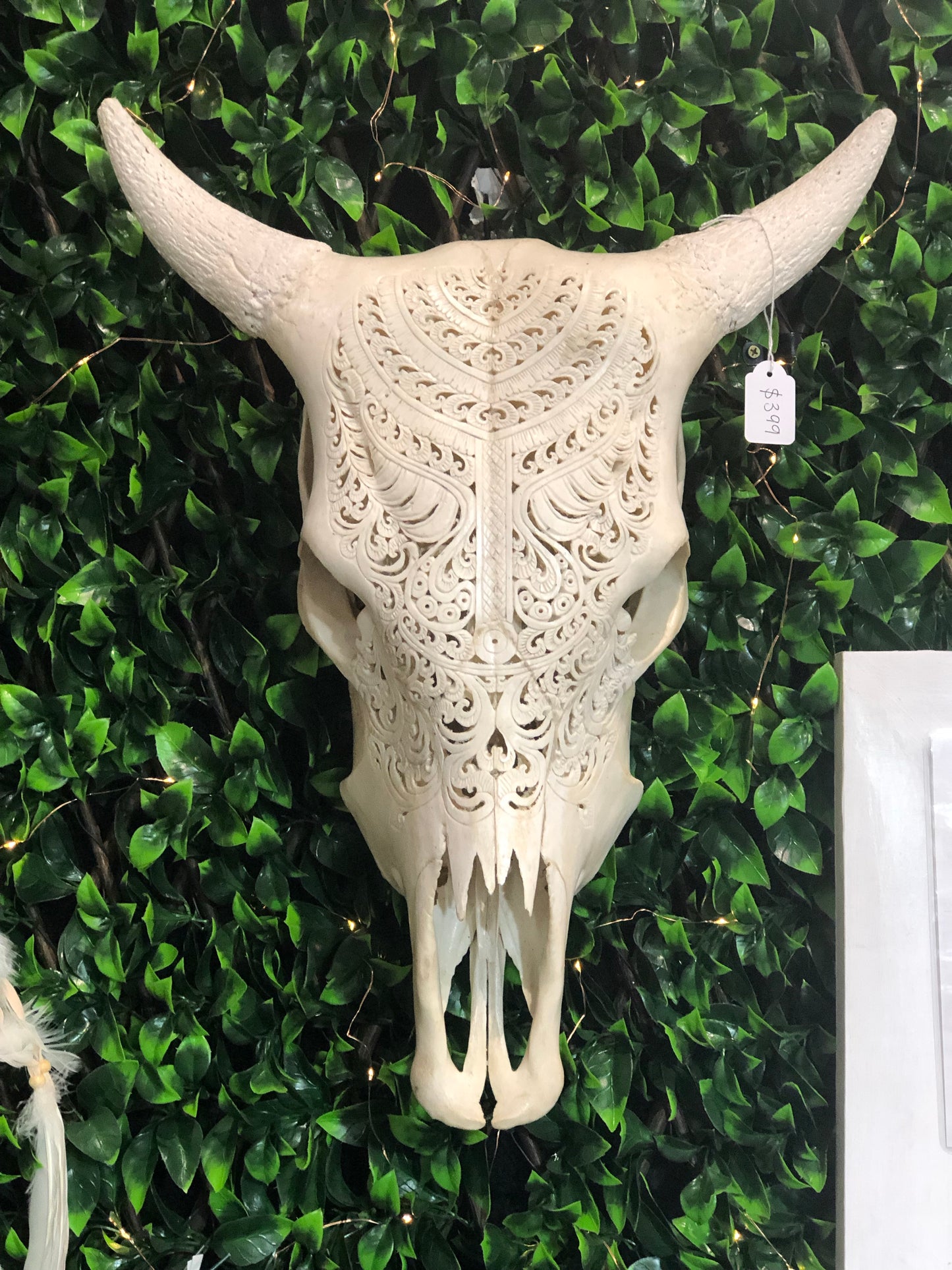 Cow Lace Skull White Horns